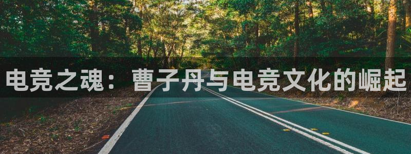 iM电竞电竞网页登录入口