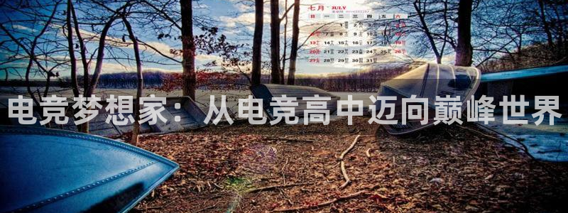 iM电竞电竞直播：电竞梦想家：从电竞高中