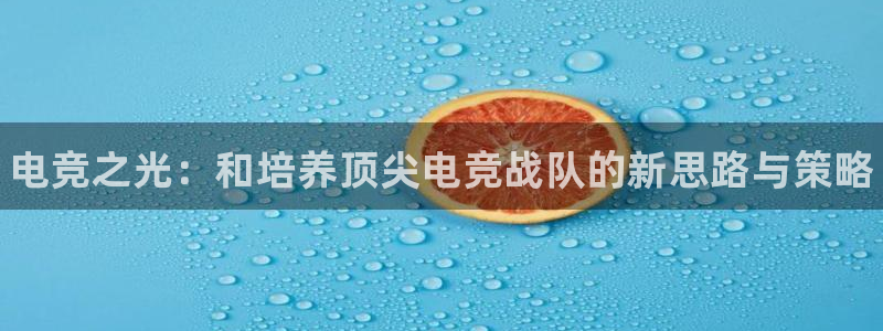 iM电竞电竞官网注册