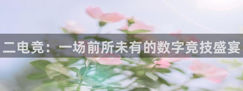 iM电竞电竞和泛亚电竞有什么区别