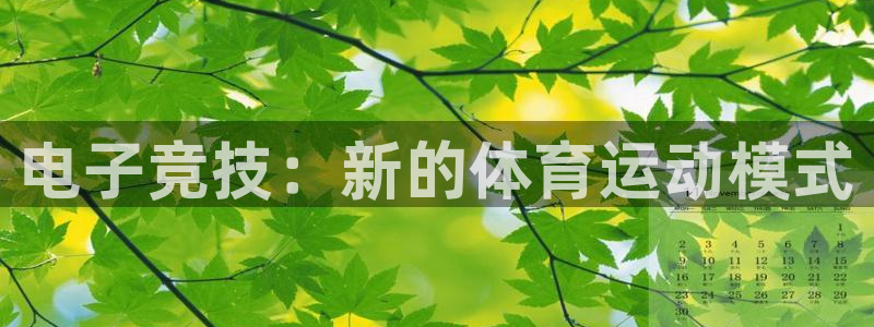 iM电竞电竞体育,官方网站