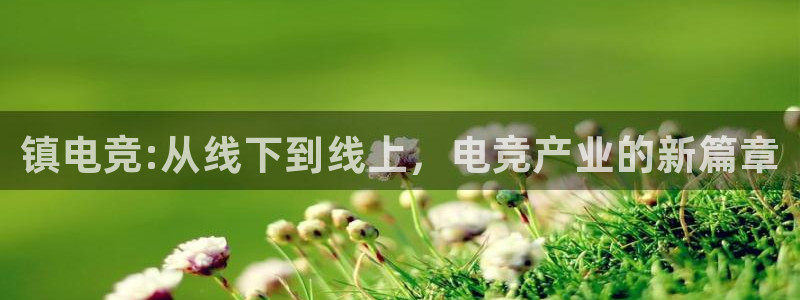 iM电竞电竞官网首页