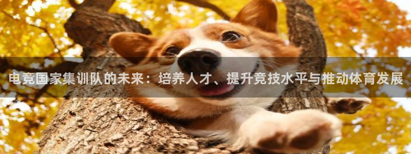 iM电竞电竞官网平台：电竞国家集训队的未