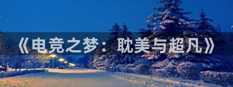 iM电竞电竞s13：《电竞之梦：耽美与超